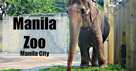 manila zoo animal list